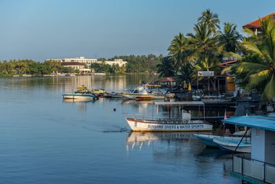 Sailboats moored in marina against clear sky