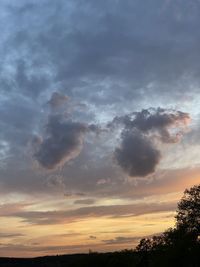 Low angle view of silhouette trees against sky during sunset