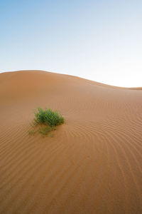 Scenic view of desert against clear sky