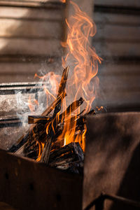 Close-up of fire on log