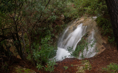 Scenic view of waterfall in forest