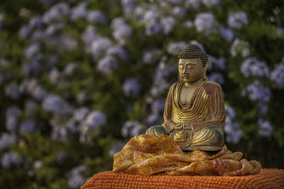 Close-up of buddha statue against trees