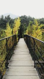 Footbridge amidst trees against clear sky