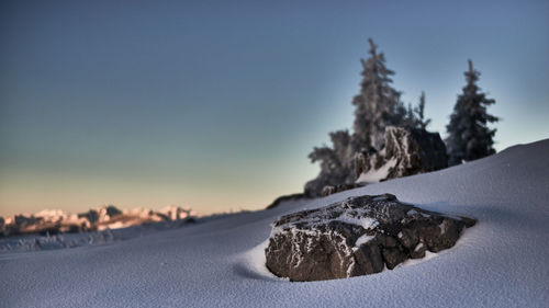 Snow covered land and trees against sky during sunset