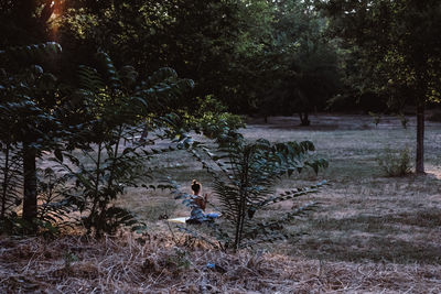 Full length of boy on tree in forest