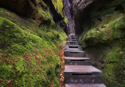 Steps amidst rocks