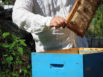 beekeeper