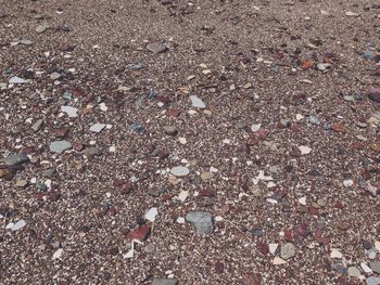 Close-up of pebbles