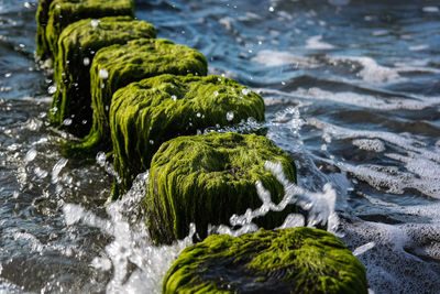 Close-up of waterfall on rock by river