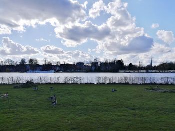 Scenic view of grassy field against sky