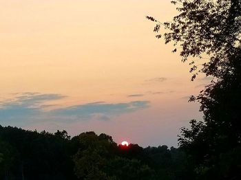 Silhouette trees against sky during sunset