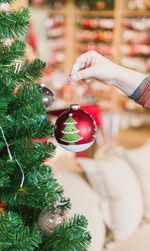 Cropped hand holding christmas tree
