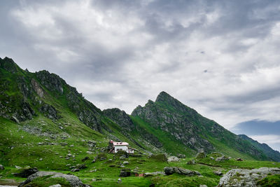 Transfagarasan through the fagaras mountains with green vegetation