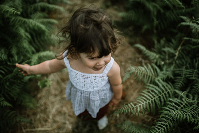 High angle view of girl and plants on land