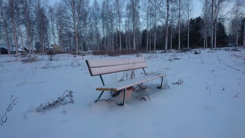 Empty bench on snow covered bare trees