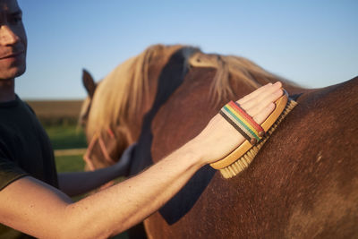 Man during grooming horse on summer day. close-up of hand while brushing of back of mare.