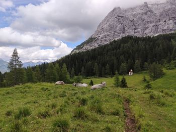 Scenic view of mountain landscape against sky