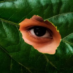 Close-up portrait of woman with green leaf