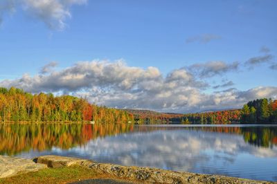 Scenic view of lake by trees against sky