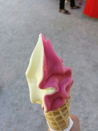 Close-up of pink rose