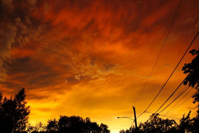 Low angle view of silhouette trees against orange sky
