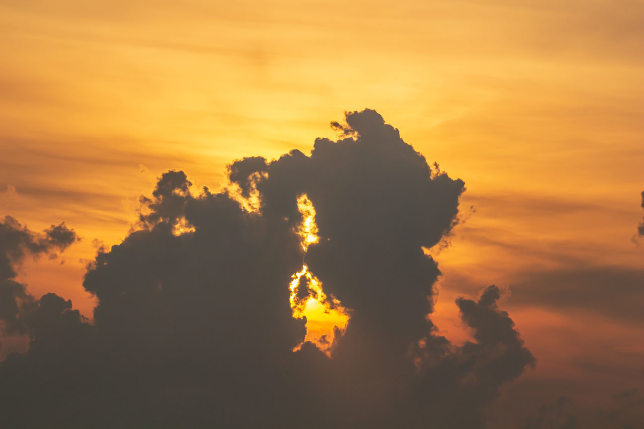 LOW ANGLE VIEW OF SILHOUETTE TREE AGAINST DRAMATIC SKY