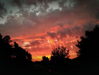 Silhouette trees against dramatic sky during sunset