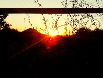 Close-up of silhouette trees against sunset sky