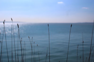 Close-up of sea against sky during sunset