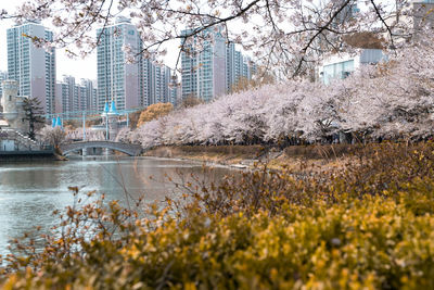 Scenic view of lake by buildings in city