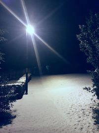 Snow covered trees against sky at night