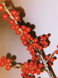 Close-up of christmas decorations