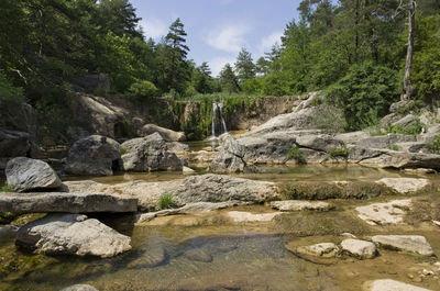 Scenic view of waterfall in forest against sky