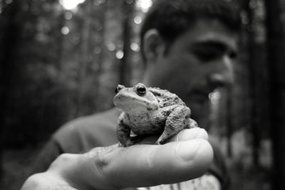 Close-up of frog on hand 