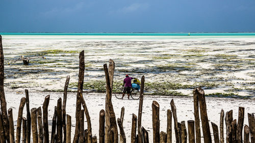 Panoramic view of wooden posts on beach against sky