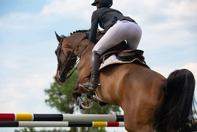 Horse jumping, equestrian sports, show jumping competition themed photograph.