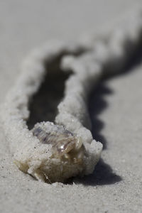 Close-up of sand