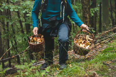 Rear view of man working in forest