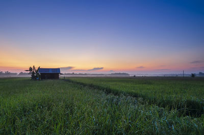 Scenic view of agricultural field against sky during sunset