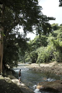 Full length of woman standing amidst trees in forest