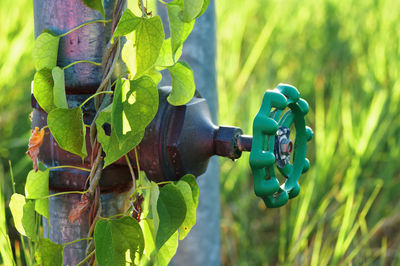 Close-up of rusty pipe on field