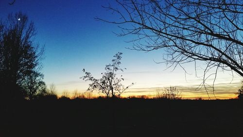 Silhouette trees against sky at sunset