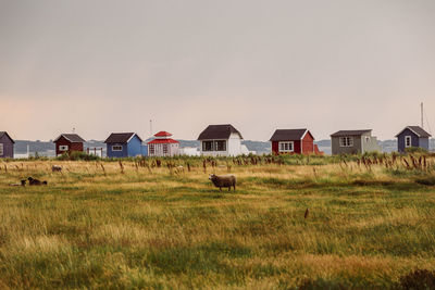 Houses on field against sky