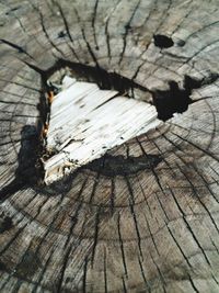 Close-up of wooden plank