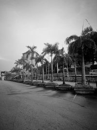 View of palm trees by street against sky