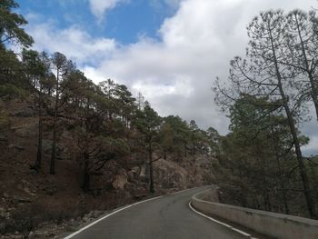 Road amidst trees against sky