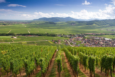 High angle view of agricultural field against sky