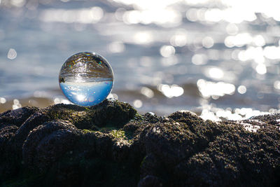 Close-up of bubbles on rock against sea