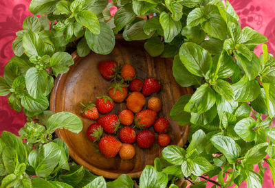 Close-up of strawberries