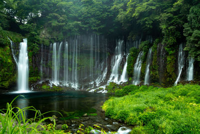 Scenic view of waterfall in forest